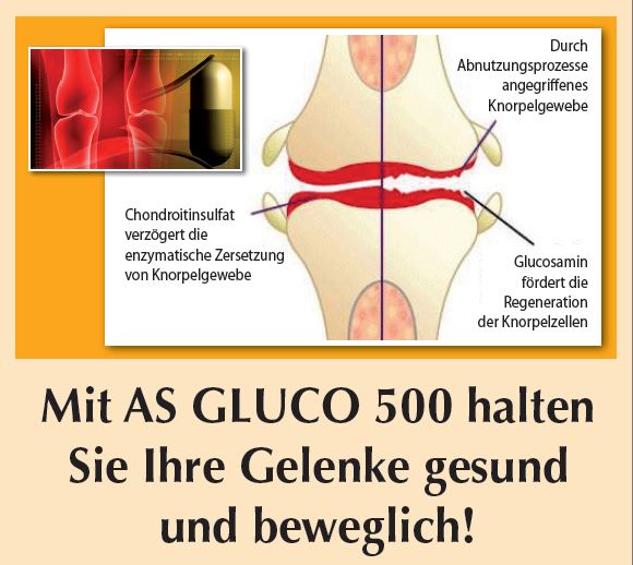 Glucosamin Chondroitin