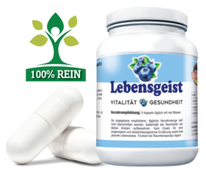 Lebensgeist Antioxidans