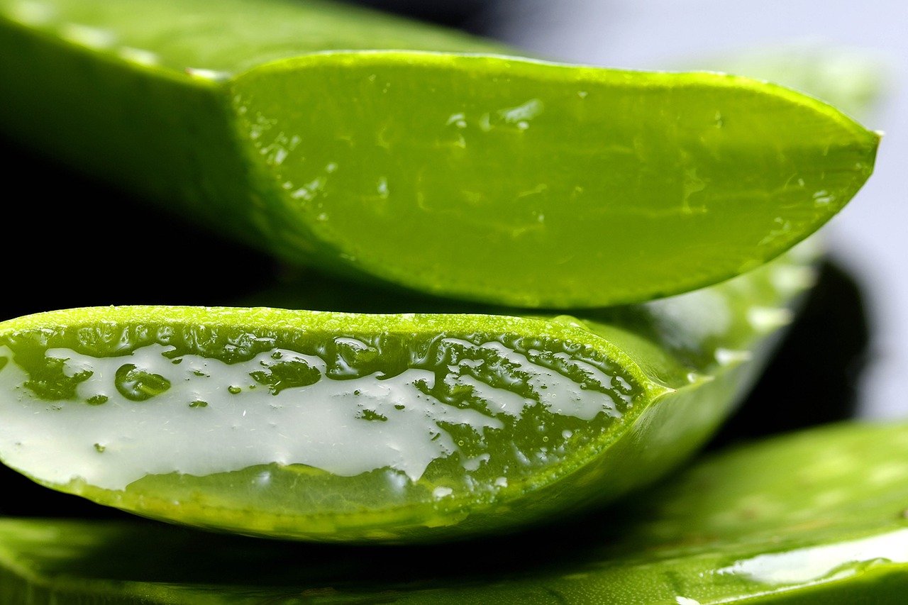 ALOE FIT: Ein gesundes Schlankheitsmittel mit Aloe vera - Nutrisana Care