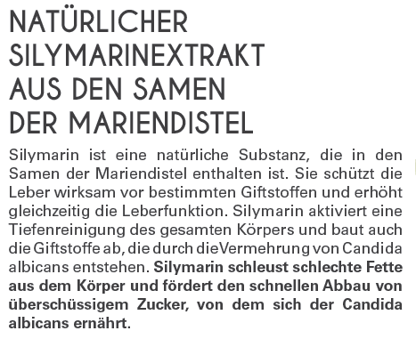 Silymarinextrakt gegen Müdigkeit