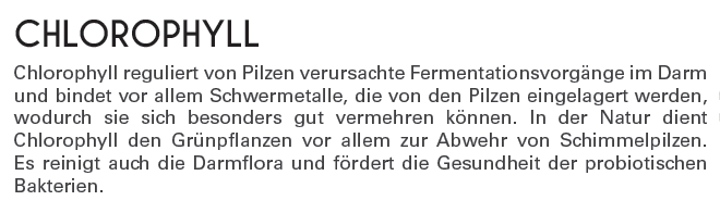 Chlorophyll gegen Candida albicans