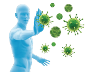 gesundes Immunsystem